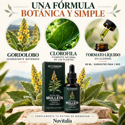 BETTERBRAND MULLEIN DETOX PULMONAR